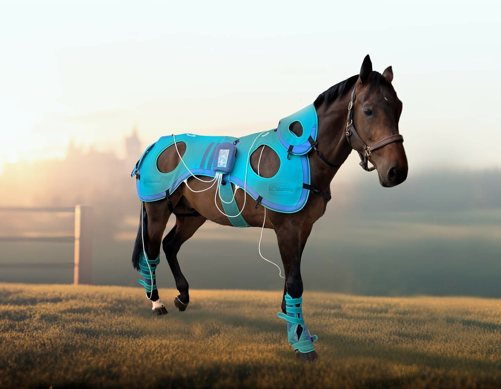 Magnetoterapie pulsatilă veterinară Biomag